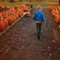 The Ultimate Guide to All-Natural and Organic Markets in Summit County, OH