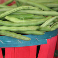 The Thriving Market Scene in Summit County, OH