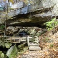 The Impact of International Markets in Summit County, OH