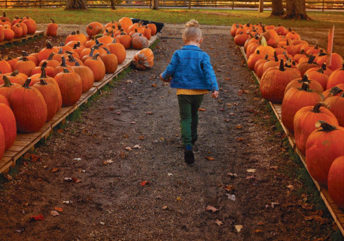 The Ultimate Guide to All-Natural and Organic Markets in Summit County, OH