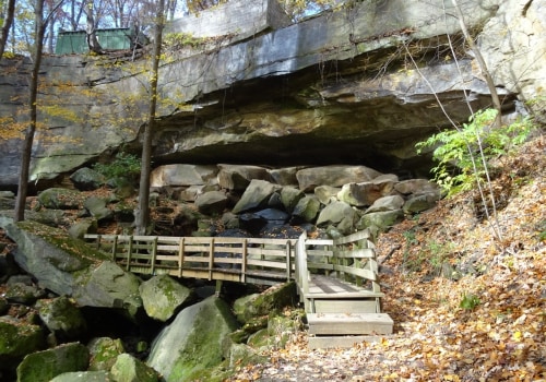 The Impact of International Markets in Summit County, OH
