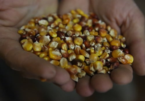 The Rise of Locally Sourced Markets in Summit County, OH